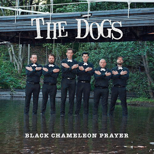 Black Chameleon Prayer